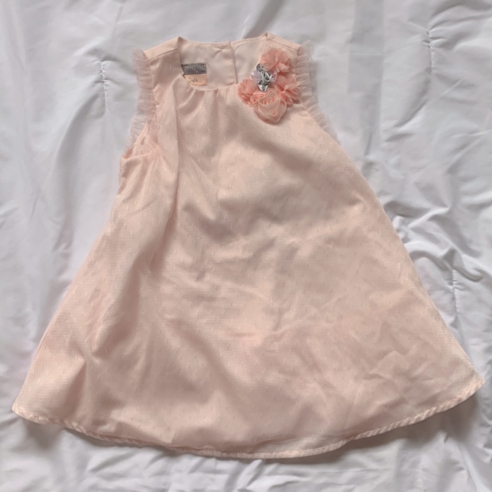 Pastourelle by Pippa & Julie Pink Dress Size 24 Months